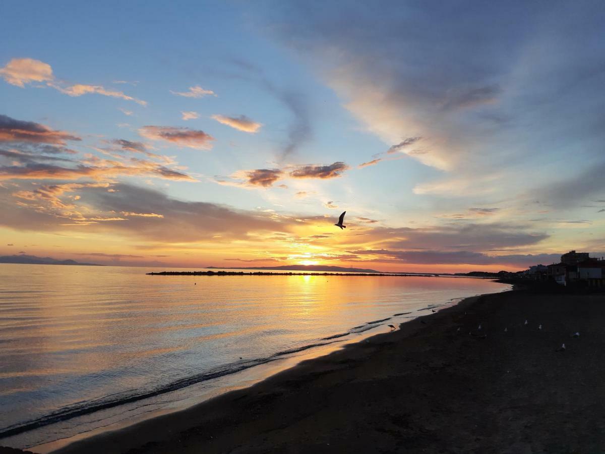 Acquamarina B&B Follonica Eksteriør bilde